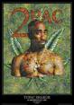 tupac
